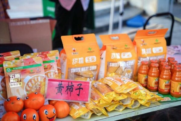 “塞上江南·大美河套”傻小胖·2025中国全民健身走(跑)大赛（内蒙古·巴彦淖尔站）圆满完赛
