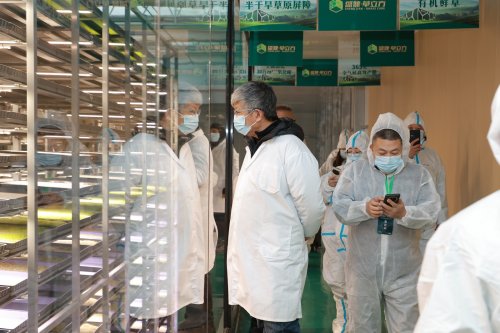 image6_sm image6_sm